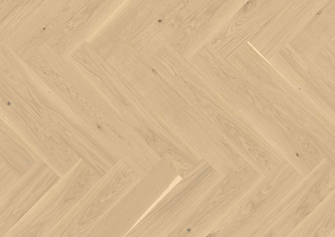    Vectorpark